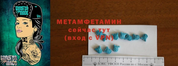 прущие грибы Зерноград