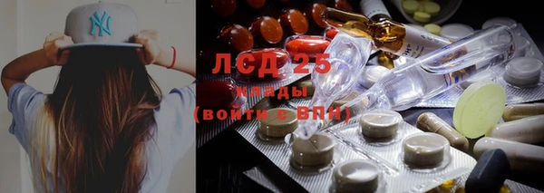 прущие грибы Зерноград