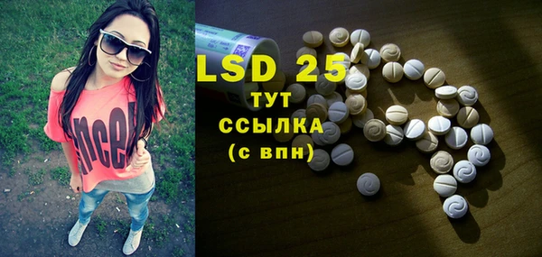 прущие грибы Зерноград