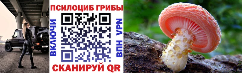 где купить наркоту  Мурино  Псилоцибиновые грибы мухоморы 